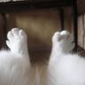差不多得了 profil fotoğrafı