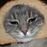 Profilbild von Tears of Onions