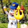 いりやす's profile picture