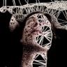 Lennie Budgell โ๏ธ's profile picture