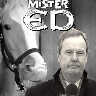 Ed Werder's profile picture