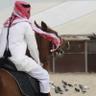 ℳϠ MOHAMMED | | محمد's profile picture