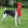 Hendawg2020 profil fotoğrafı