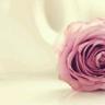fatima_Sj's profile picture