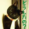 Profilbild von みずはっち☆