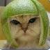 Profilbild von SmileAwhile2