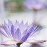 Фото профиля DRD