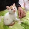 よしえ 的头像