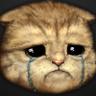 Фото профиля SadCat