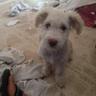 delsol71 profil fotoğrafı