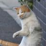 たくや profil fotoğrafı