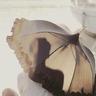 فوضى منظمه ..*'s profile picture