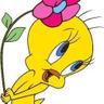 Profilbild von شهريه ذووق