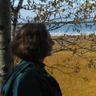 Elisabeth Haghebaert's profile picture