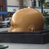 riceball 的头像