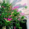 استغفرالله's profile picture