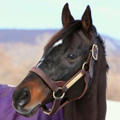 TKstayfamily's profile picture