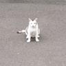 XIRO AR's profile picture