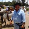 jose gregorio prieto's profile picture