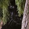 Paula Fantin's profile picture