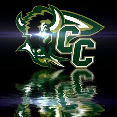 Central City Bison's profile picture