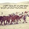 Profilbild von جراح سعد المطيري