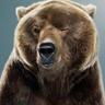 Profilbild von curtis pennington