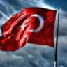 Davut YILMAZ's profile picture