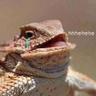 alfredo's profile picture