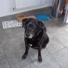 Susan Bagheri's profile picture