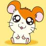 タカカズ君's profile picture