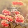 Фото профиля Nurul Nuha Pahmen