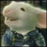 NordestecoMito's profile picture