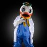 Profilbild von Luke Davis