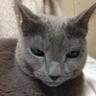 Profilbild von ともさん