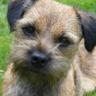 nes's profile picture