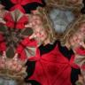 Фото профиля sylvie maligorne