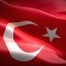 Mesut Sarıkaya's profile picture