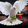 Profilbild von الدنيا بخير