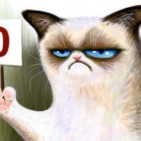 Katia Panopoulou's profile picture