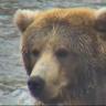 Estrella profil fotoğrafı