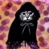 Profilbild von Eric The Cat
