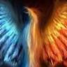 ventor storm's profile picture