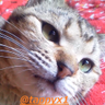 tappyx's profile picture