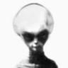 Фото профиля UFO CASE ALIEN