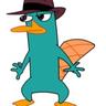 Chris Angle-Hobson's profile picture