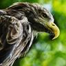 司馬遷都 profil fotoğrafı