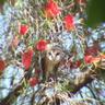 Фото профиля Owldoc