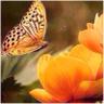 Q8 and proud profil fotoğrafı