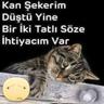 mert sadece mert's profile picture
